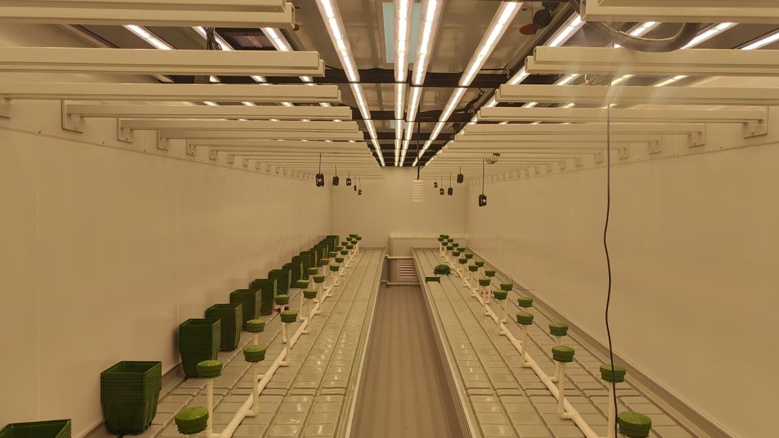 Drop N Grow Container Interior